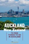 New Zealand's largest city if filled with a variety of things to do.