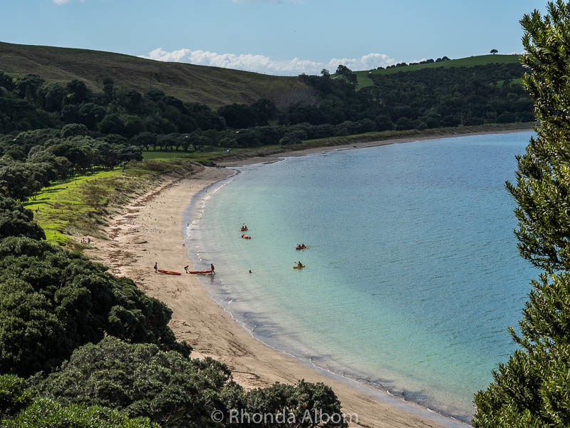 Shakespear Park: Open Bird Sanctuary, Beaches, Hiking and Sunken Ship 10 Shakespear Park in Auckland New Zealand