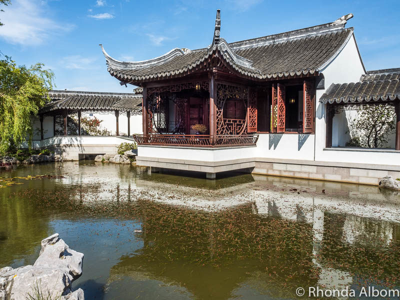 Dunedin Chinese Garden (Lan Yuan): Authentic Tranquil Beauty 5 Dunedin Chinese Garden New Zealand
