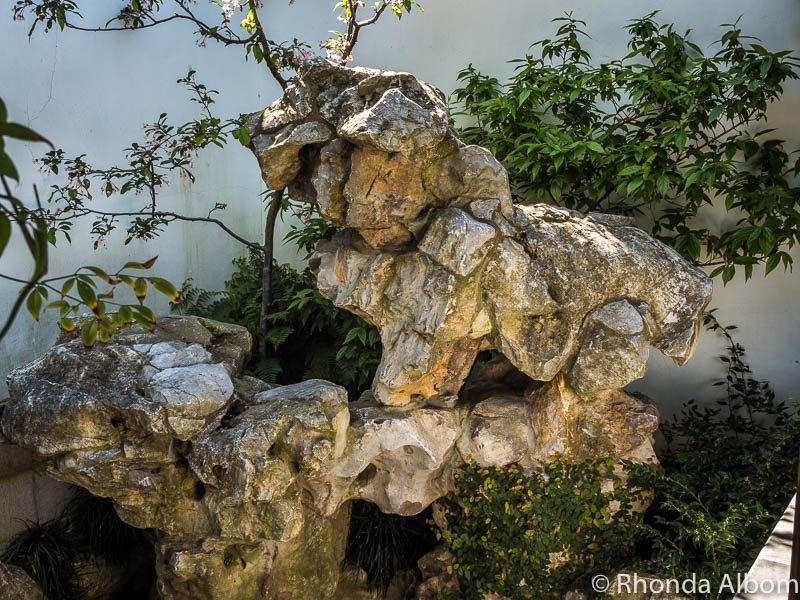 Do you see an animal in these rocks at the Dunedin Chinese Garden