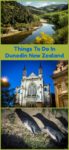 Dunedin is New Zealand's garden city, teeming with wildlife, interesting architecture and plenty of things to do. Read the article to see some of the best of this southeast corner of New Zealand's South Island.