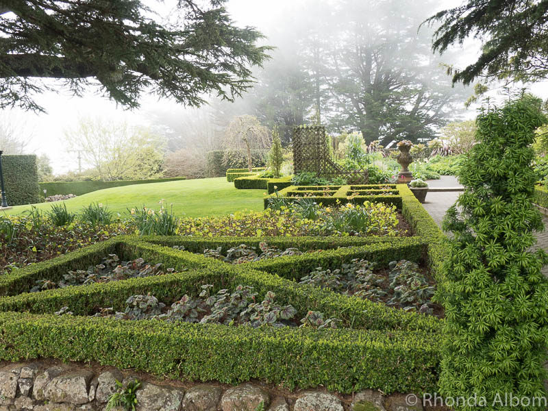 25 Things to Do in Dunedin NZ and their Unique Claim to Fame 16 Larnach Castle gardens