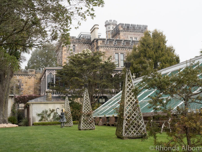 25 Things to Do in Dunedin NZ and their Unique Claim to Fame