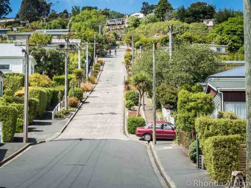 25 Things to Do in Dunedin NZ and their Unique Claim to Fame 19 Baldwin Street is the steepest street in the world