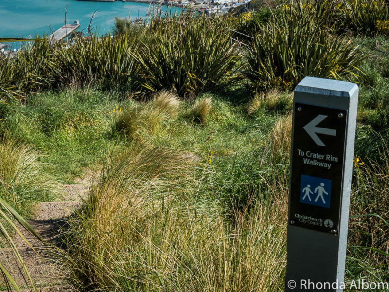 Heading to the crater rim trail of Mount Cavendish in the Port Hills above Christchurch New Zealand