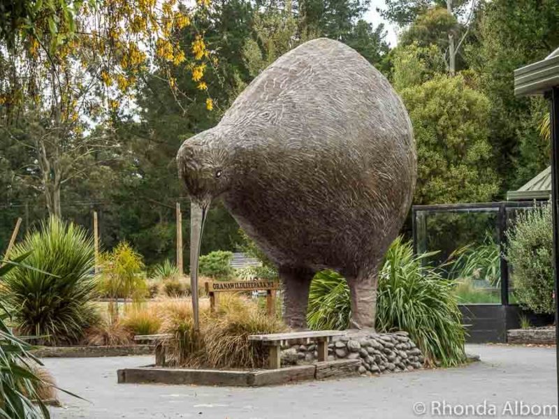 Where to See Kiwi in New Zealand: Insider Guide to 27 Spots 6 Giant kiwi bird statue at Orana Wildlife Park in Christchurch New Zealand