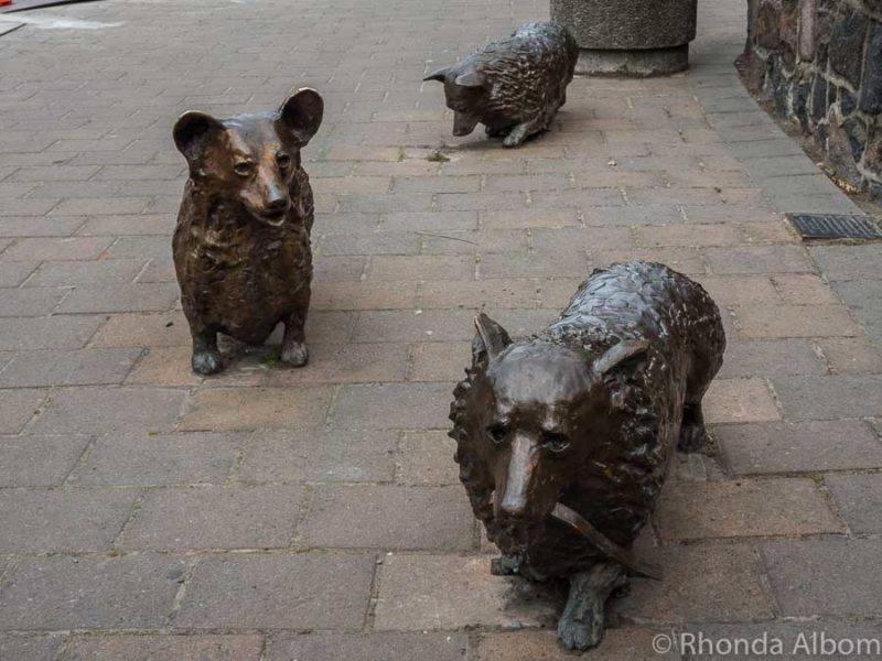 Christchurch Street Art Uplifts NZ's Post-Quake City 18 Corgi bronze statues in front of C1 Espresso cafe in Christchurch New Zealand