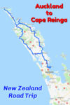 Auckland to Cape Reinga Road Trip