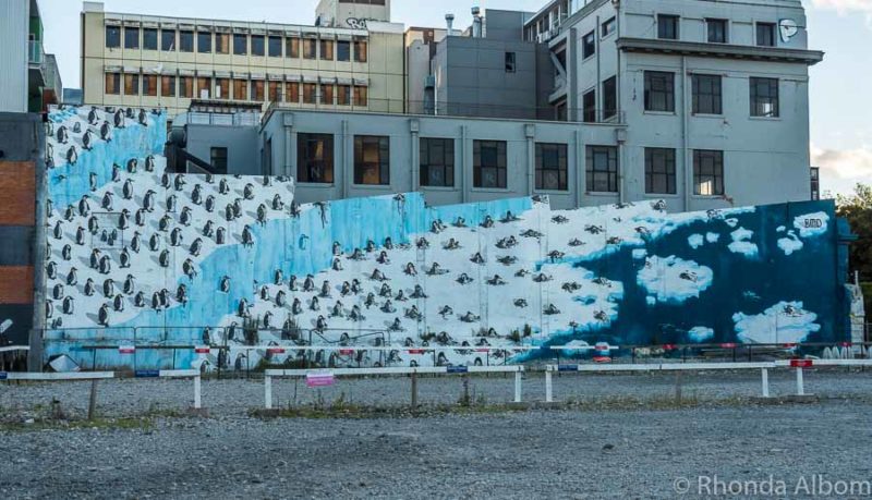 Street art in Christchurch New Zealand