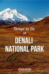 Things to do in Denali National Park