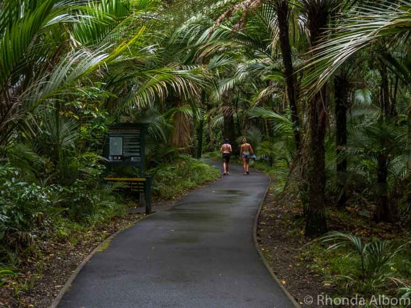 20 Things to Do in Gisborne NZ - First Place to See Each New Day 12 Morere Hot Springs in New Zealand