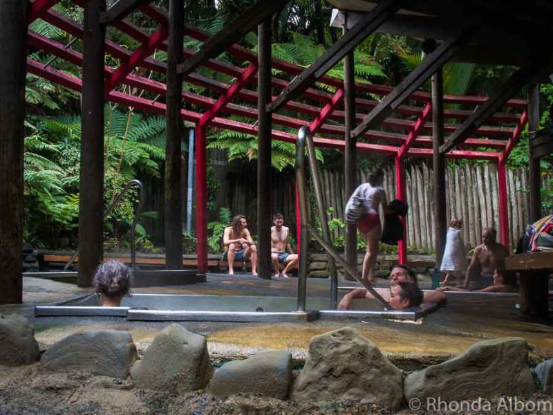 15 Best New Zealand Hot Springs: Where We Soak and Relax 8 People in and around an outdoor hot pool at Morere Hot Springs in New Zealand