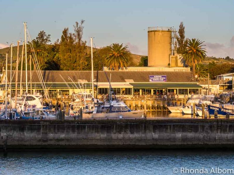20 Things to Do in Gisborne NZ - First Place to See Each New Day 11 Gisborne-Tatapouri Sports Fishing Club in Gisborne New Zealand