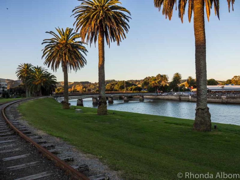 20 Things to Do in Gisborne NZ - First Place to See Each New Day 15 Old train tracks cross a palm tree lined river in New Zealand