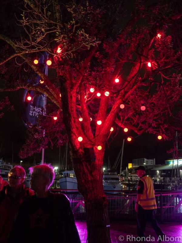 Trees lit up at Viaduct Harbour in Auckland at night, New Zealand