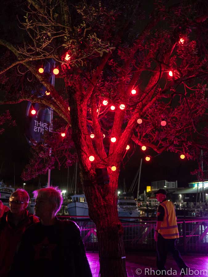 How to Photograph a Light Festival Enjoying Auckland at Night