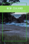 So many things to do in Tauranga, Mount Maunganui, in the Bay of Islands New Zealand