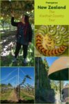 Touring Kiwifruit Country is a chance to see how kiwifruit is grown and processed in New Zealand