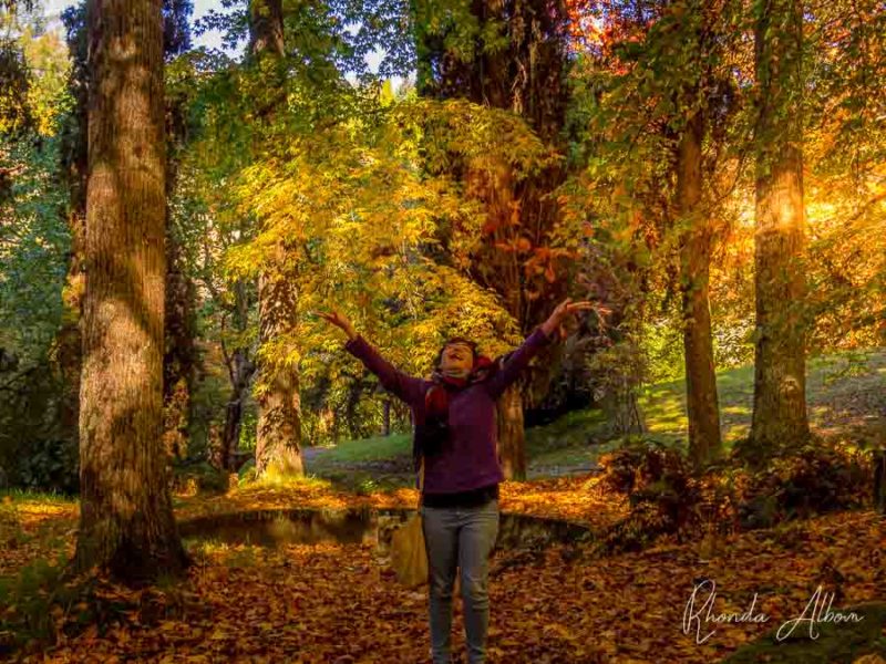 20 Things to Do in Gisborne NZ - First Place to See Each New Day 17 Girl tossing leaves in the air at Eastwoodhill Arboretum just outside Gisborn New Zealand