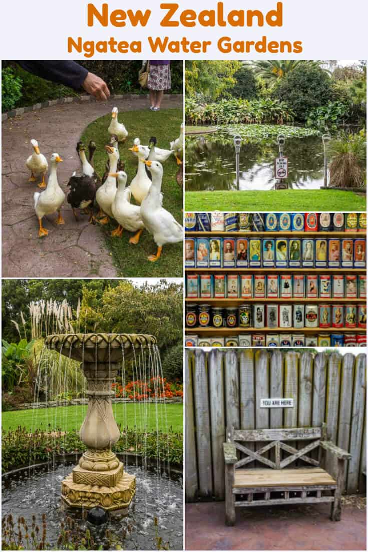 Nature, humour, and a massive Can Museum are all found at Ngatea Water Gardens in New Zealand. #Travel #NewZealand #watergardens #gardens #ngatea #ducks #birds #fountains #sodacans #beercans #humour #humor