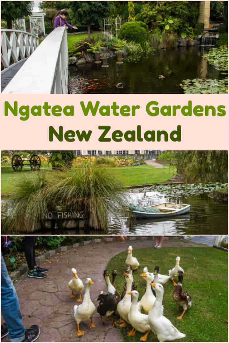 Ngatea Water Gardens Nature with a Sense of Humour in New Zealand