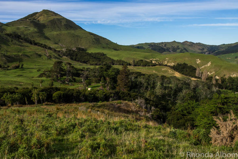 Hiking on Cook's Cove walkway from Tolaga Bay as a stop as we drove from Gisborne to Opotiki in New Zealand