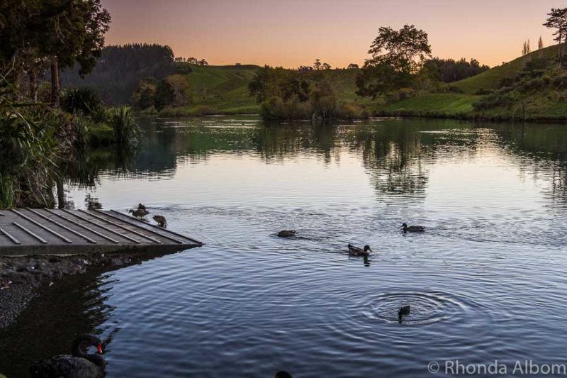Tauranga Glow Worm Tour Review: Night Kayaking in NZ 6 McLaren Lake - our starting point for the Waimarino Kayak Glow Worm Tour