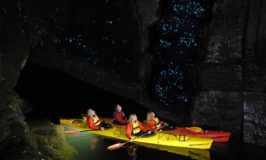 Tauranga Nightlife: Consider a Kayak Glow Worm Tour