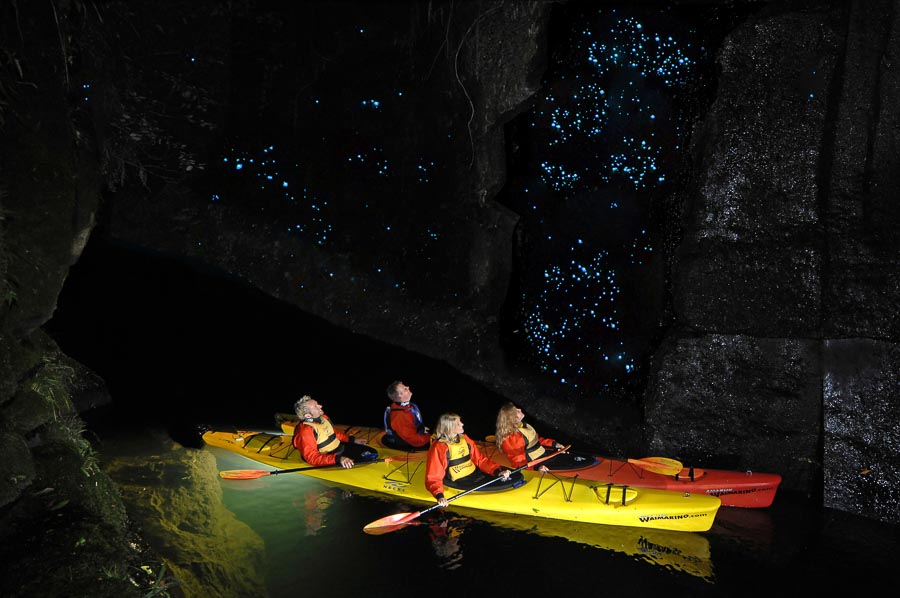 glow worm kayak tours-Waimarino Tauranga GlowWorm Kayak Tour 1