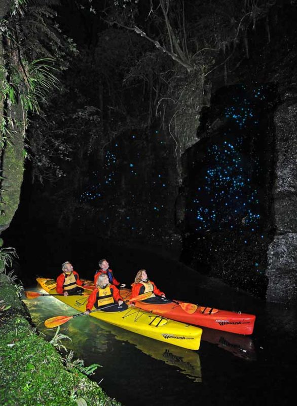 Tauranga Glow Worm Tour Review: Night Kayaking in NZ 9 Glow Worm tour, tauranga, New Zealand