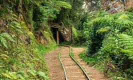 Karangahake Gorge Walks: Windows out of Old Gold Mines