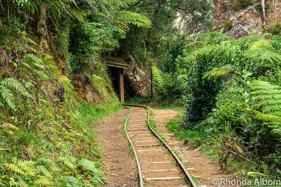 Karangahake Gorge mine shafts in the Bay of Plenty New Zealand
