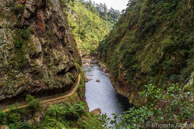 Karangahake Gorge in New Zealand is one fo the places to stop when driving Auckland to Wellington by car