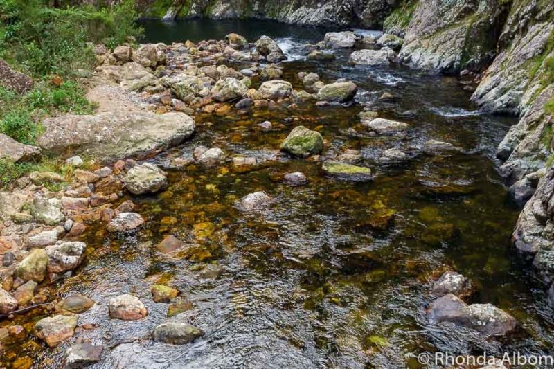 Karangahake Gorge Walks: Windows out of Old Gold Mines 17 Golden colour rocks in the Ohinemuri River in the Karangahake Gorge, New Zealand