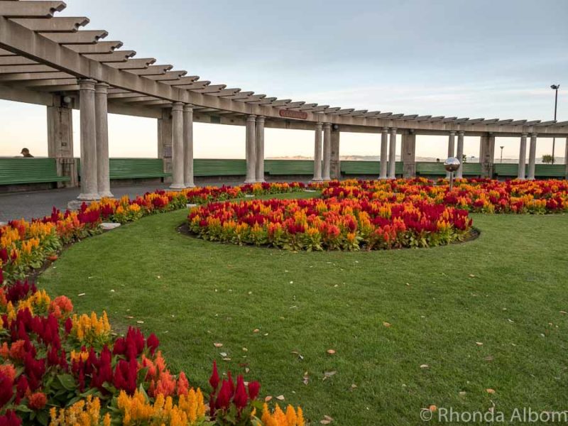 16 Unique Things to Do in Napier, New Zealand's Art Deco Capital 4 Inside the Marine Parade Arch in Napier New Zealand
