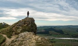 24 Unique and Fun Things to Do in Napier New Zealand