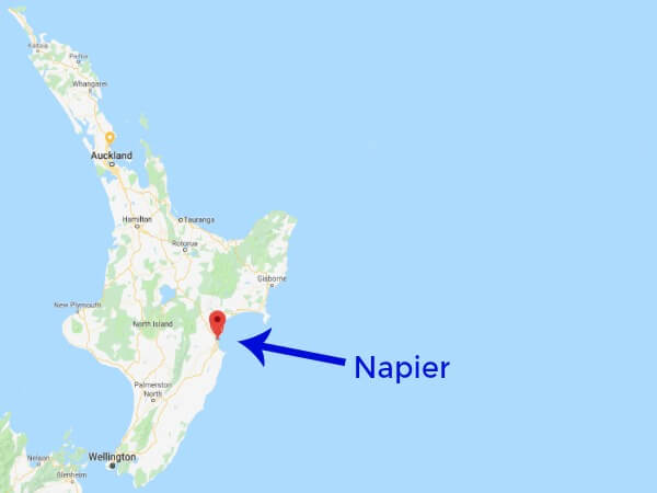24 unique and fun things to do in napier new zealand albom adventures
