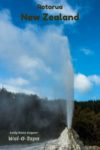 Lady Knox Geyser at Wai o tapu Thermal Wonderland Rotorua New Zealand