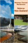 Geothermal activity, geysers, and vivid colors add to the mystic of Waiotapu Thermal Wonderland in Rotorua New Zealand