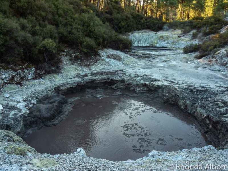 Wai-O-Tapu: Nature's Masterpiece in Geothermal Rotorua NZ 14 Devil's Ink Pot Wai-O-Tapu, Rotorua New Zealand