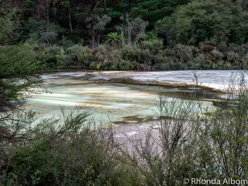 Wai-O-Tapu: Nature's Masterpiece in Geothermal Rotorua NZ 6 Artist's Palette Wai-O-Tapu, Rotorua New Zealand