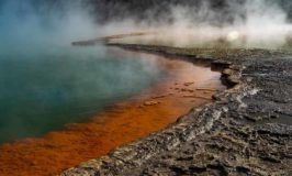 Wai-O-Tapu: A Photo Review of Geothermal Rotorua New Zealand