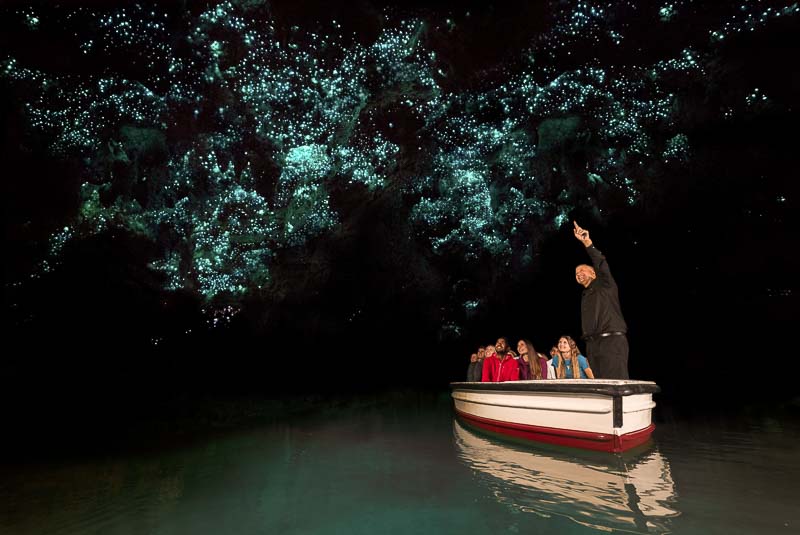 Waitomo Glowworm Cave