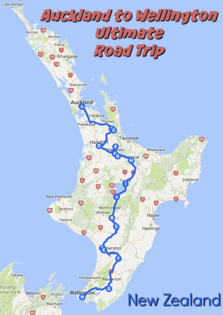 travel wellington to auckland