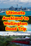 Auckland to Wellington Road Trip