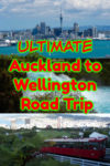 Auckland to Wellington Road Trip