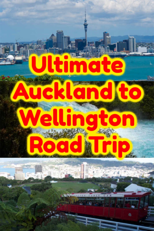 Enjoy an Auckland to Wellington Drive with These Stops 29 Auckland to Wellington Road Trip
