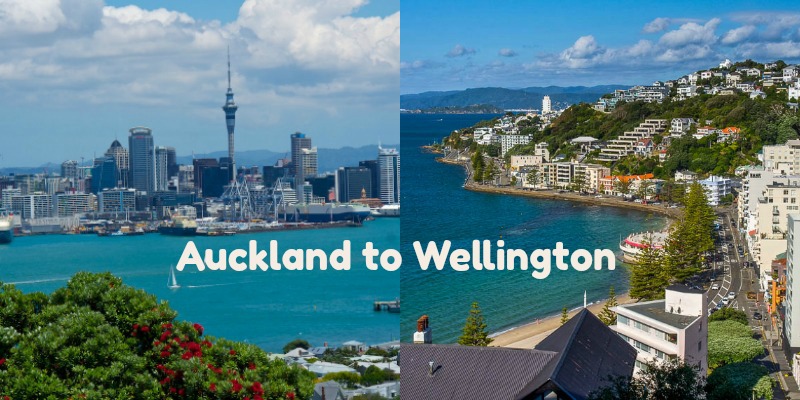 Auckland to Wellington drive itinerary-the ultimate New Zealand road trip