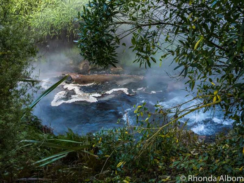 Eco Trail at Waikite Thermal Pools, Rotorua New Zealand