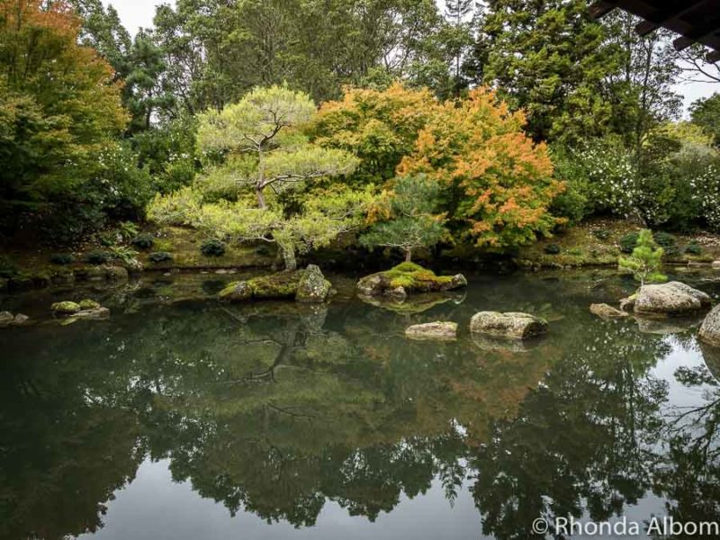 Japanese Garden of Contemplation in New Zealand